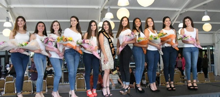 finalistas